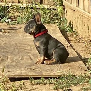 Meet your Posher, Bryan